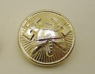 Knoflík SDH 22 mm, zlatavý